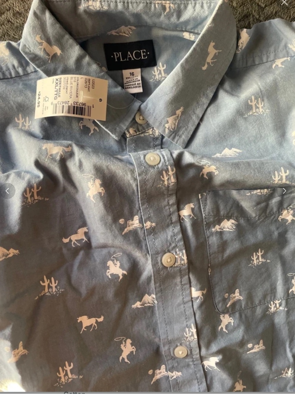The Children's Place Light Blue Button-Down Shirt with Western Print